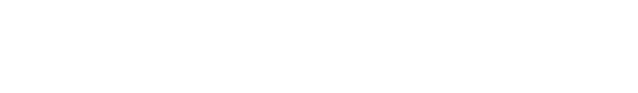 Nuro Audio